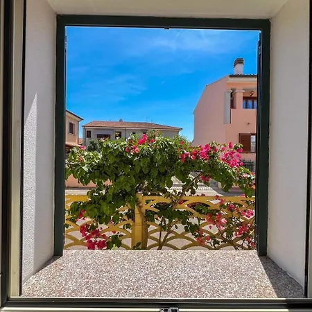 For In Costa Smeralda Apartment Olbia